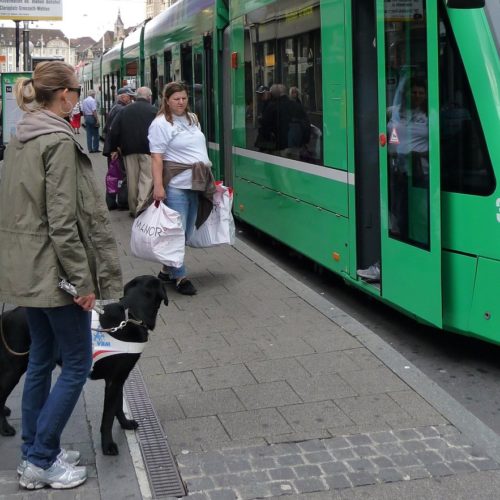 εκπαιδεύτρια με σκύλο οδηγό περιμένουν να μπουν στο τραμ.