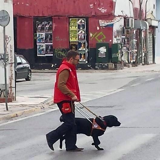 εκπαιδευτής σκύλων οδηγών με κοντοκουρεμμένο μαλλί, γυαλιά ηλίου, κόκκινο μπουφάν και μαύρο παντελόνι, κρατά από μια χειρολαβή ένα μαύρο λαμπραντόρ. 